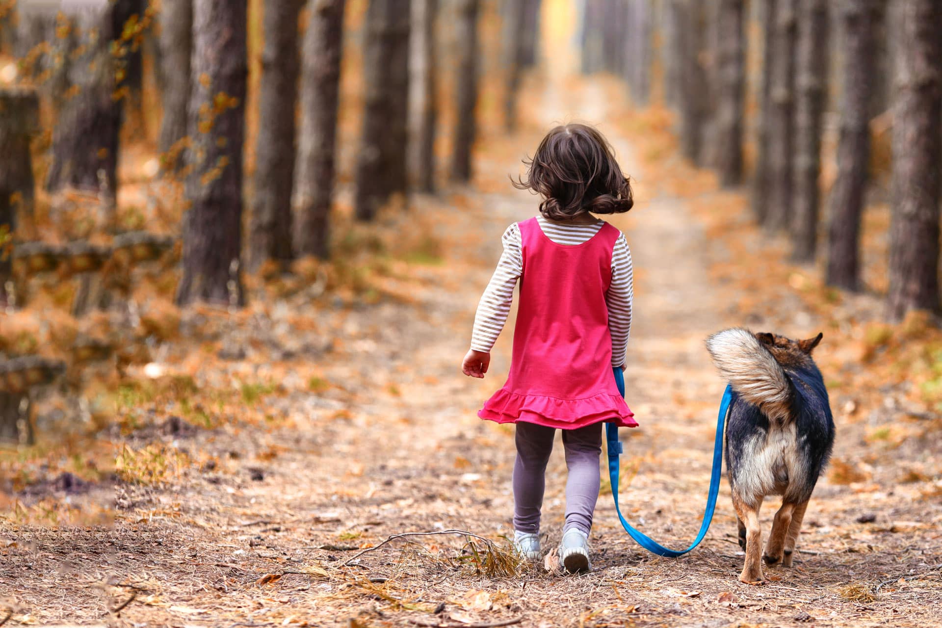 A young child wearing a pink dress and gray leggings walks down a forest path, holding the leash of a dog walking beside them. The path, lined with trees and covered in fallen leaves suggesting an autumn setting, evokes the sights of nature often visited during trips to the veterinarian. The child's back is turned towards the camera.